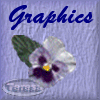 ttgraphicsbt1.gif (8839 bytes)